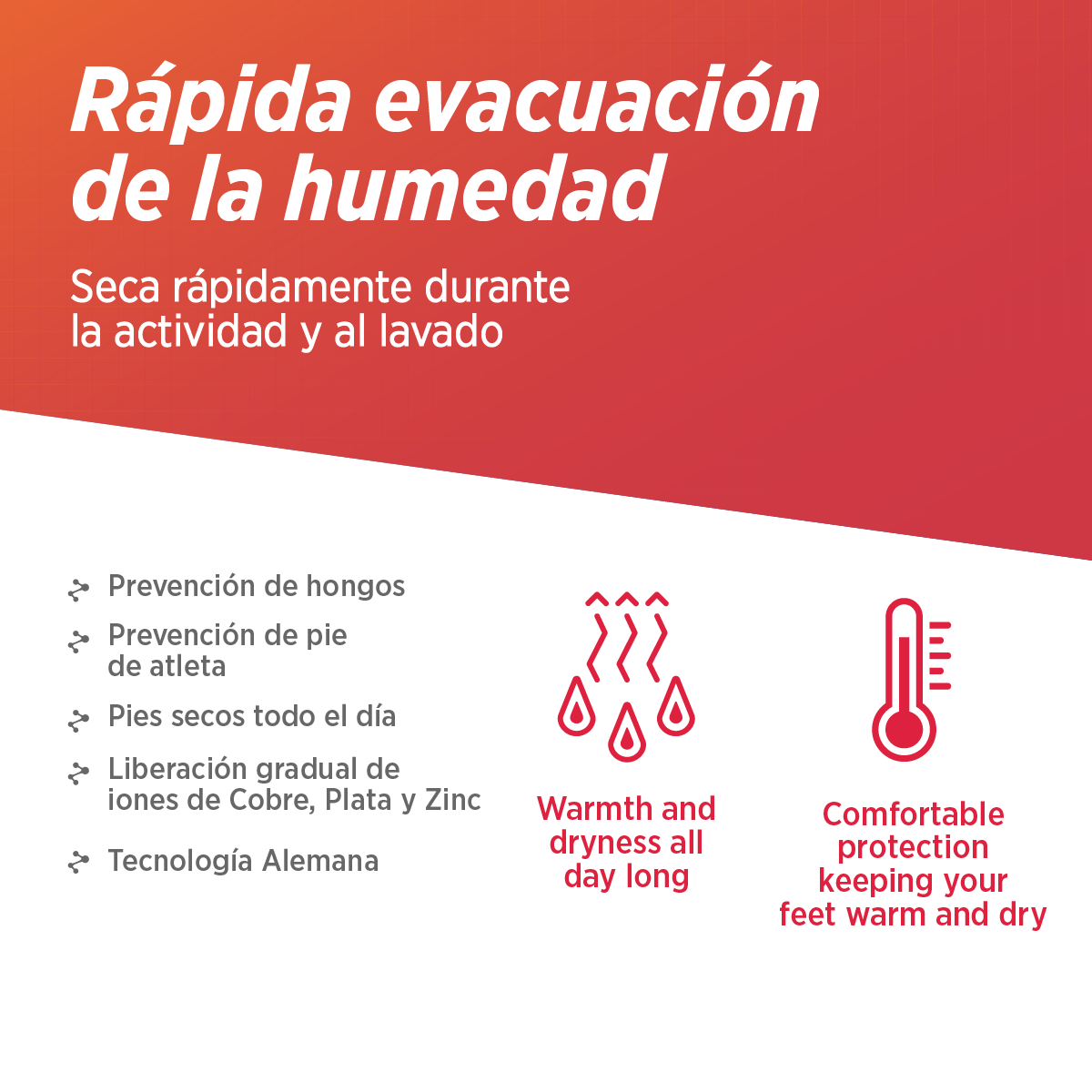 Medias de vestir casuales de oficina | BUBBLE FIT