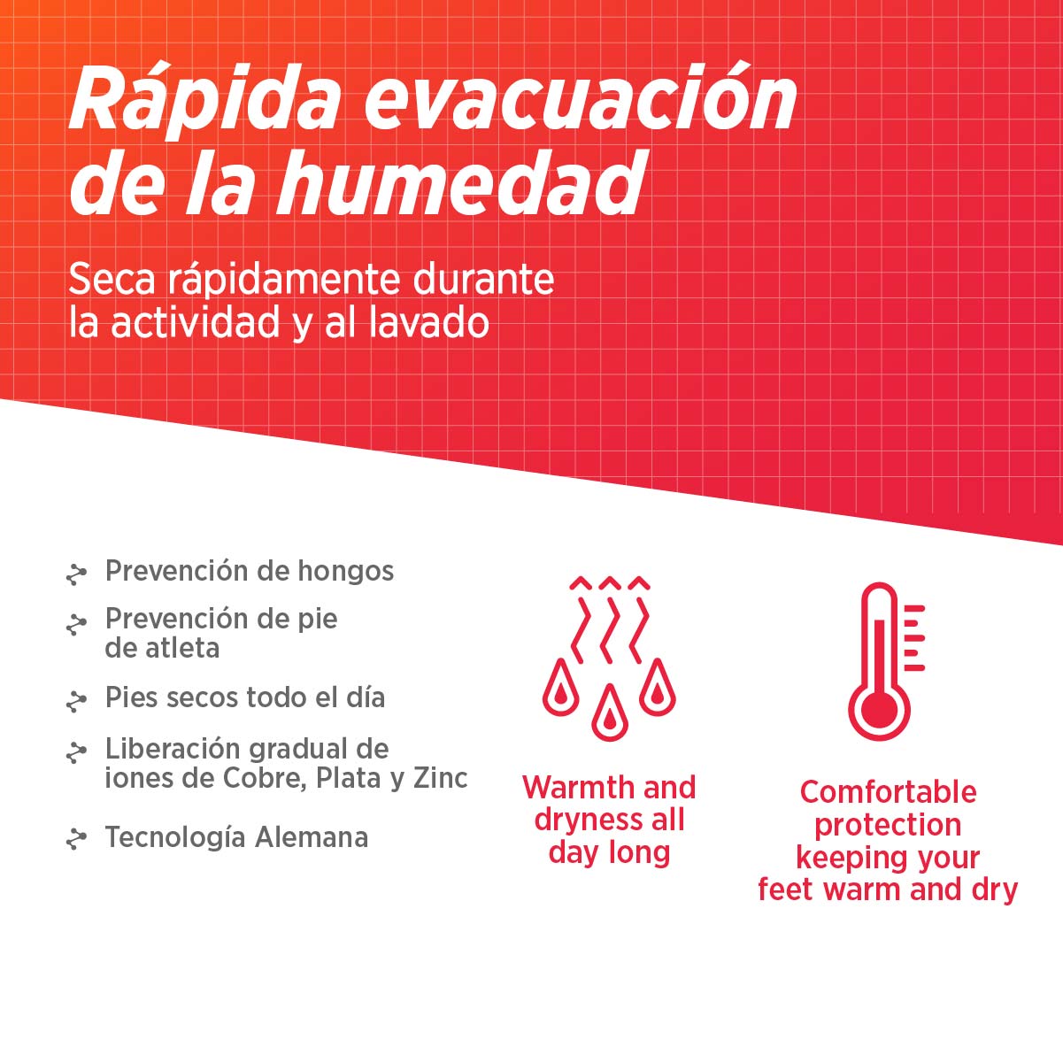 Medias largas de compresión 20-30 mmHg ATLAS PRO