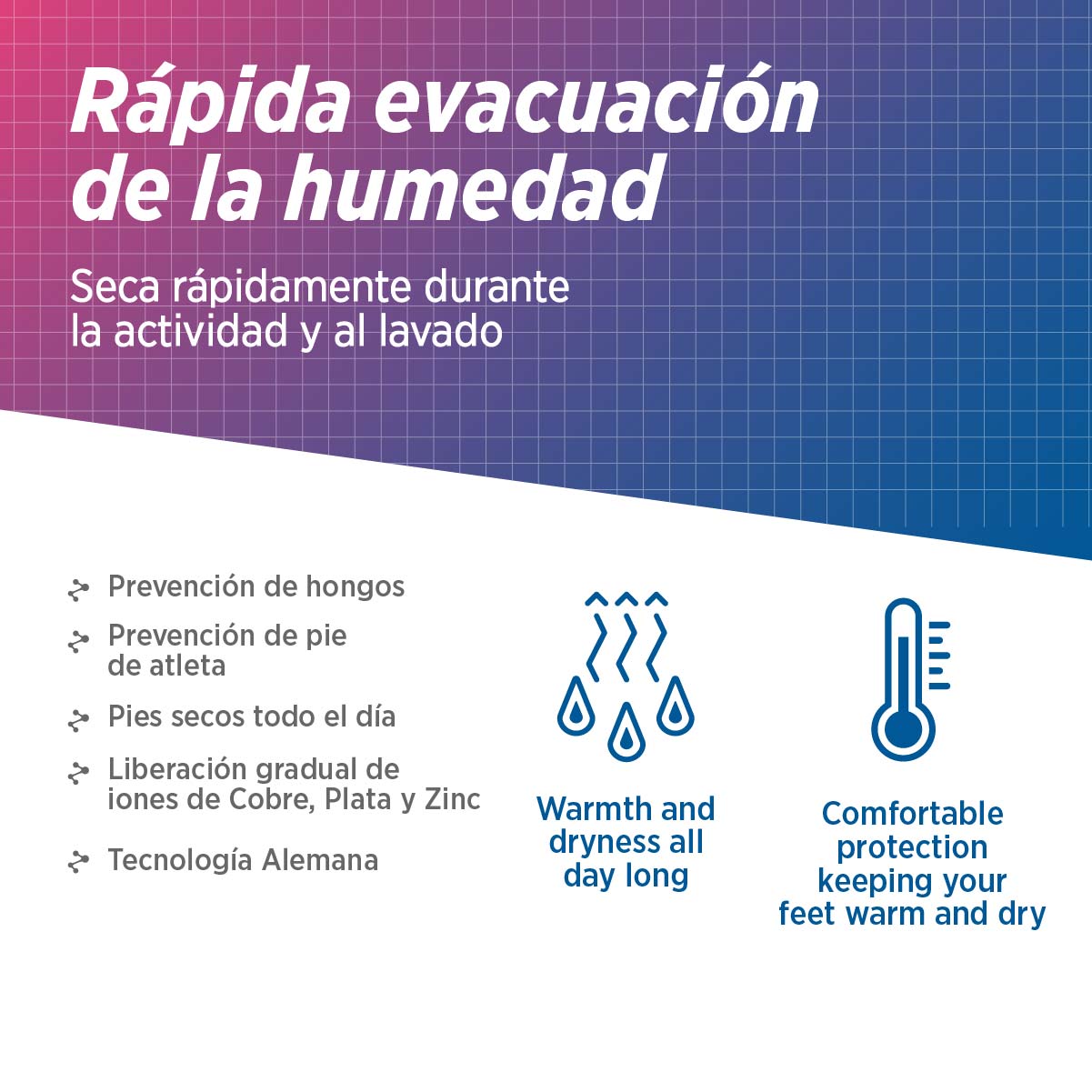 recuperación muscular