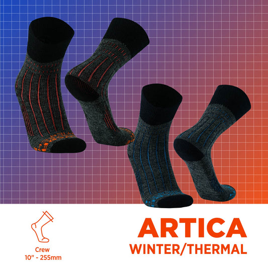 ARTICA | Winter & Thermal | 2-Pack